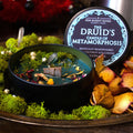 Druid class candle made with coconut soy wax and a wooden wick. Fantasy candle for Dungeons and Dragons players or whimsical adventurers who enjoy tabletop role-playing games